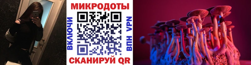 Купить закладки  Рудня  Псилоцибиновые грибы Magic Shrooms 